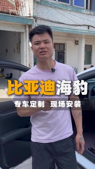 比亚迪海豹06迷雾紫软包,实体工厂靠谱做工,质量看得见#车搭档#360航空软包脚垫#余姚脚垫厂##脚垫源头工厂