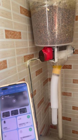 自制宠物喂食器#真实生活分享计划 #自制猫咪喂食器 #远程喂猫 #猫咪