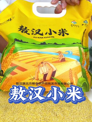 敖汉黄小米,煮小米粥米油丰富,口感软糯#敖汉小米#小米粥#粗粮