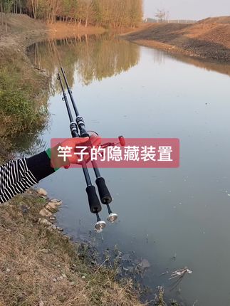 #岸抛筏竿