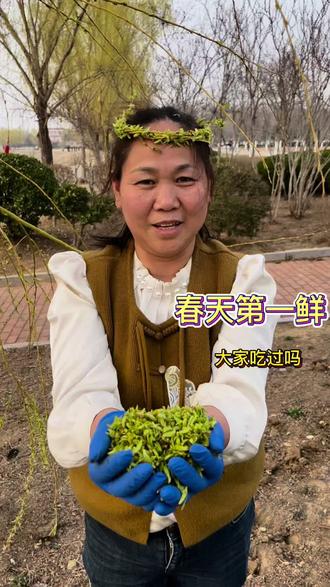 #农村特产 #一般人不告诉他 #味道好极了你们想吃吗 #有没有见过这种吃法 #晒出我亲手做的美食 春天第一鲜,柳树芽大家吃过吗