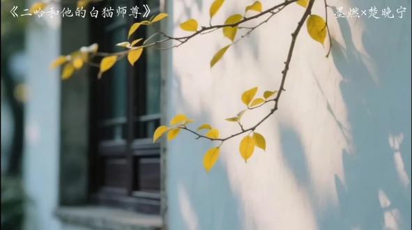 薛蒙:这是我的脑子!#二哈和他的白猫师尊#墨燃 #薛蒙