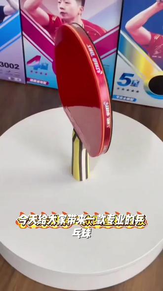 红双喜乒乓球拍四星三星专业级狂飙3小学生专用兵乓球正品套装#乒乓球拍爱好者 #乒乓球拍 #乒乓拍胶皮 #乒乓球装备 #乒乓球拍推荐