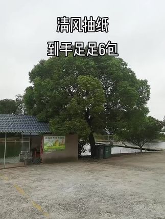 清风抽纸这个价到手6包#抽纸 #抽纸巾 #清风 #清风抽纸 #生活用纸