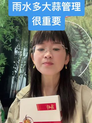 雨水多大蒜管理很重要 #三农#大蒜#农民种地不容易#抖音助农