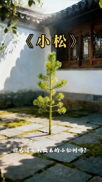 《小松》#小松 #小云雀AI #古诗词 #成长 #诗词 @保代军哥 @DOU+上热门 @小云雀AI @创作灵感小助手 @樾月