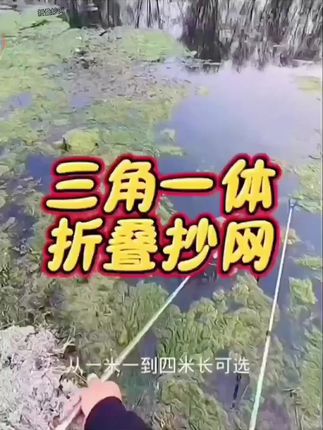 伸缩杆一体抄网三角折叠抄网头抄网#户外钓鱼 #折叠抄网 #抄网 #三角折叠抄网 #捞鱼网