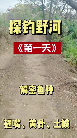#钓鱼热门话题 探钓野河的第一天