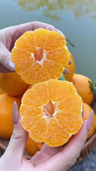 春见耙耙柑🍊皮薄肉厚,汁水足,特大果9斤28.8都是果园现摘现发的香甜多汁巨好吃!#耙耙柑 #优质农产品 #应季水果