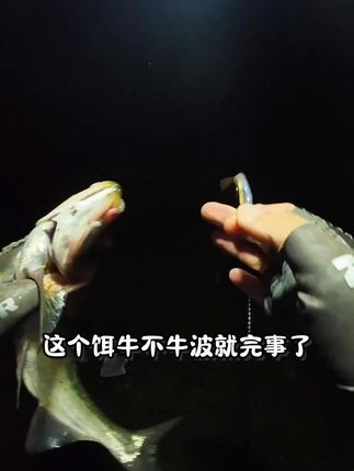 ZBX新款叉尾装备路亚饵,食同源加盐,叉尾装备路亚饵料!#路亚装备推荐 #竞技钓鱼技巧 #饵料选择指南 #钓鱼爆护秘籍 #路亚饵新品