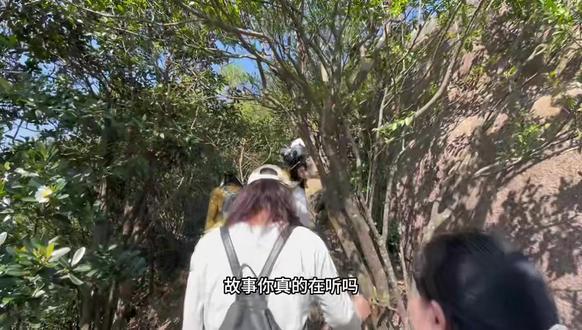 最治愈人心的,便是这世间的风景,将心放任于天地间,所有的不知所措,都能释怀#登上山顶看美景 #户外登山徒步 #爬山 #感受大自然的气息和美景