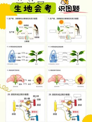 高效记牢初中地理生物知识点,208图片加表格再加默写。 #生地会考 #高效学习方法 #生地会考真题