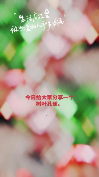 本人创艺手工作品,树叶🍃孔雀完成