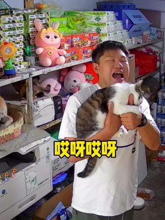 收养这么多猫咪小卖部又不赚钱真的要破产了#我和流浪猫的故事 #可爱到爆炸💥