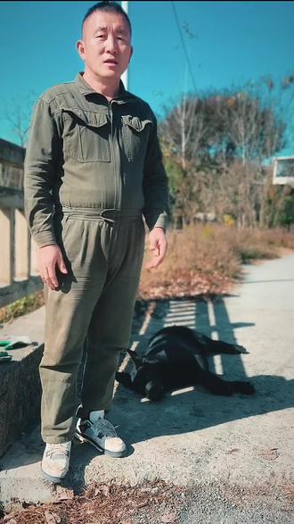 天冷了大家一定要注意#德牧#东德牧羊犬#南京