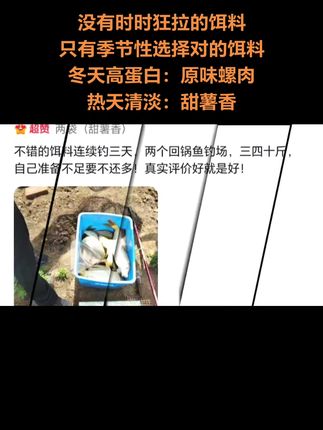 没有时时狂拉的饵料,季节性选饵很重要#野钓#野钓鲤鱼#钓鱼人