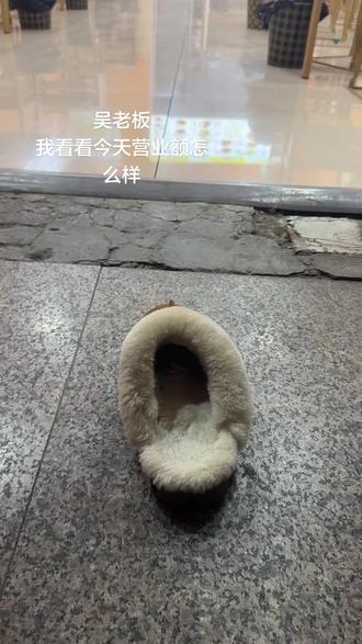 吴经理进行曲#紫薯精 #小满包房