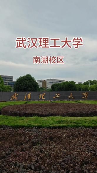 #武汉理工大学#211#双一流 #984.5 专业选择性多,工科实力强,就业率高,大厂需求旺盛,保研率高