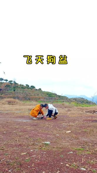 飞天狗盆,玩过的集合,开心过大年#农村山卡卡 #飞天狗盆 #炸盆 #过年氛围提前搞起来了 #童年回忆