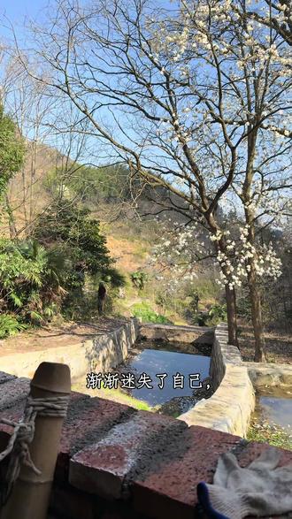 #vlog流量扶持计划 AI越发达,人越需要回到山里接接地气。#地域特色建筑之美 #古村落风景 #住进风景里 #记录家乡美景