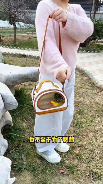 透气便携包玄凤背包虎皮小太阳外带养鸟新手入门必备品
#玄凤外出包 #虎皮鹦鹉用品 #养鸟新手必备 #小太阳便携笼 #鹦鹉外带装备