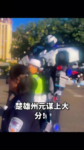 元谋机器人都出来执勤喽!##交通安全 #