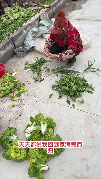 #记录真实生活 论有个好老婆子的重要性#原创视频 #我的乡村生活 #农村生活 #婆媳