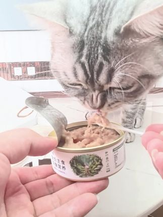 #纽森猫罐头 #纽森全价主食罐罐 #纽森罐头