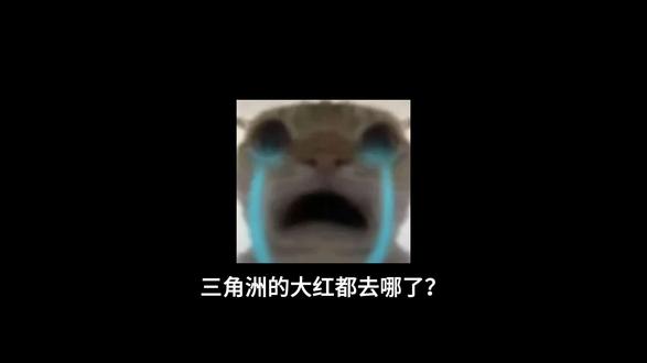 要不要跟我来一把潮汐监狱?#三角洲 #寻宝鼠 #科技鼠