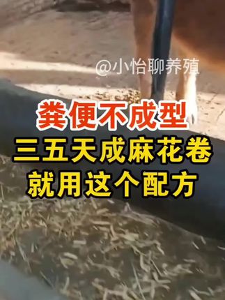 #育肥牛#科学养牛 #养牛技术 #养牛 #牛拉稀过料