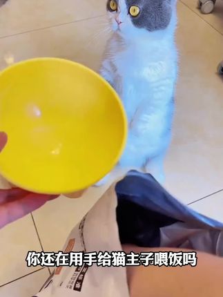 猫粮勺子狗粮勺宠物猫咪粮铲铲子量勺小勺子计量喂食取粮勺粮食勺