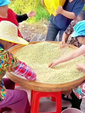 东北黄豆#五谷杂粮 #黄豆 #粗粮 #豆子#黄豆的营养价值