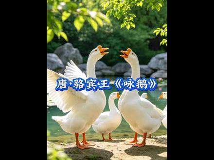 #咏鹅#骆宾王#古诗词#ai视频
唐·骆宾王《咏鹅》原诗:鹅,鹅,鹅,曲项向天歌。白毛浮绿水,红掌拨清波。
译文:“鹅啊鹅,你弯曲着长长的脖子朝着天空唱着歌。一身洁白的羽毛浮动在碧绿的水面上,一双红色的脚掌波动起清清的水波。”