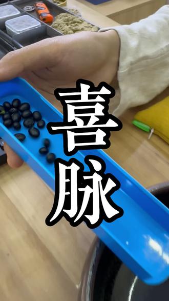 这个就是喜脉#脉诊#中医#中医把脉#寸关尺