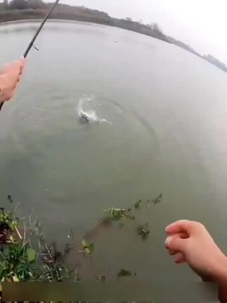 路亚鱼饵浮水米诺远投噪音响珠潜水假饵淡水 翘嘴鲈鱼鳡鱼海鲈专攻#鱼饵#路亚鱼饵#假饵#钓鱼 #钓鱼的乐趣只有钓鱼人懂