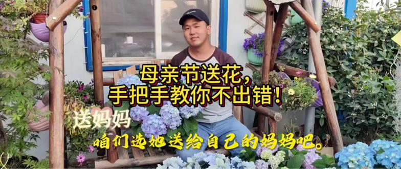最好的花送给最爱的妈妈#母亲节 #绣球 #母亲节送礼送到心坎里