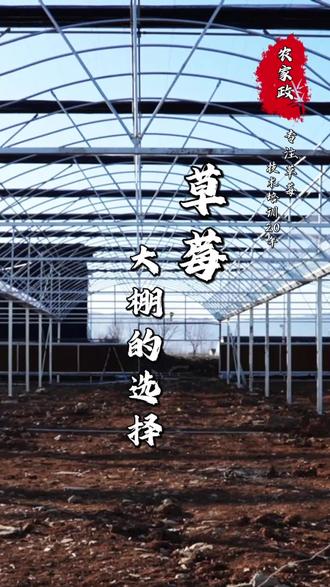 草莓种植建棚一定要因地制宜的去建#农业技术#草莓种植#三农#农家政草莓培训