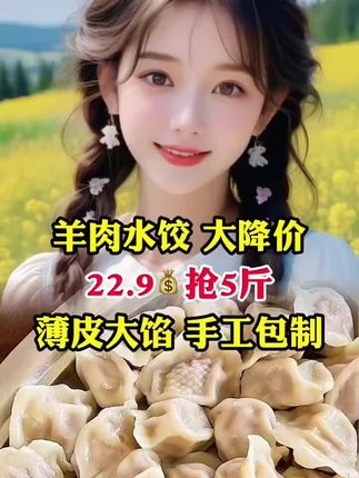 5斤大馅水饺正宗老师傅手工现包水饺牛肉大葱韭菜鸡蛋速食