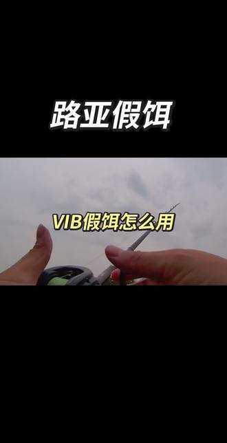 #真实生活分享官 #路亚 #路亚假饵 #路亚vib推荐 夏天不努力 冬天VI B VIB是路亚假饵中中鱼率最高 脱钩率也是最高的假饵 简直又爱又恨啊! 建议路亚新手多用用VIB 手感超棒