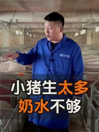 #所有养猪人 #养猪人加油干 #养猪人不容易 #养猪人的日常生活