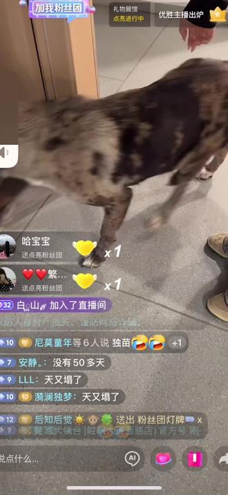 确定了北境怀了一个独苗#西北刀客北境#西北刀客