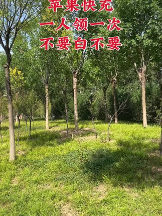 #苹果充电器#苹果快充#苹果数据线#快充#充电器
