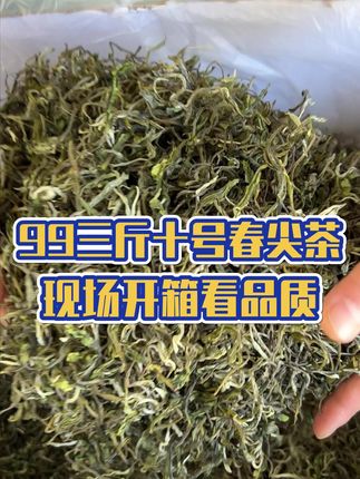 云南普洱10号春尖茶#召唤茶友 #今天你喝茶了吗 #强烈推荐 #爱喝茶的关注我 #口粮茶推荐