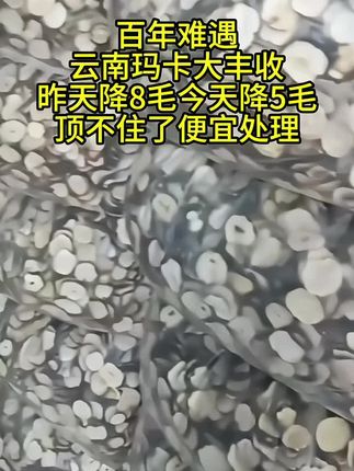 #玛卡#玛卡