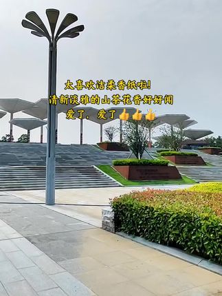 #洁柔纸巾 #香纸 #仙女必备 #家庭用纸 @DOU+小助手