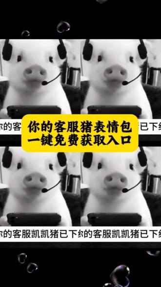 你的客服猪表情包制作教程来了,客服猪已上线表情包制作!#剪映#客服猪猪已下线#客服猪猪已上线表情包#猪类似表情包客服猪#客服猪下线模板制作教程 客服猪已下线表情包制作,客服猪表情包免费保存,客服猪表情包 客服猪猪图片 客服猪已上线,客服猪动态头像,客服猪表情包下载 客服猪表情包背景图,客服出表情包背景图