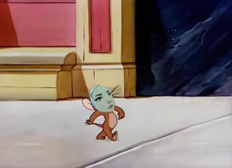 挖你的鼻孔,喵喵喵。#瓦瓦#陈泽