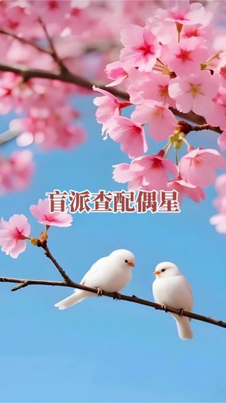 盲派查配偶星
#易学智慧 #国学经典#人性思维
#认知提升
