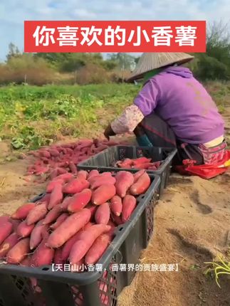 无筋无丝,软糯香甜#红薯 #绿色食品