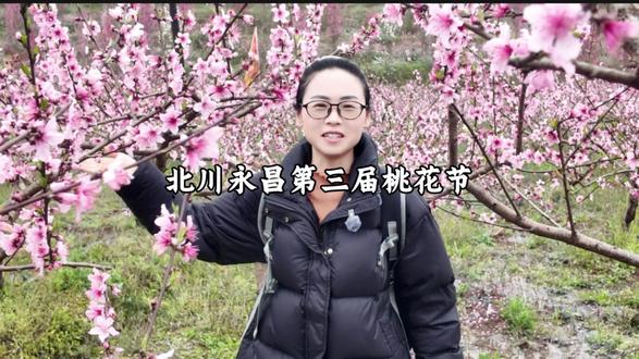 第三届北川永昌桃花节,单人票9.9#北川永昌 桃花节#绵阳看花#踏青 #出游#田园牧歌